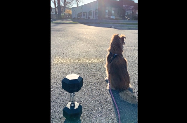 Friday, April 24, 2020 Friday, April 24, 2020