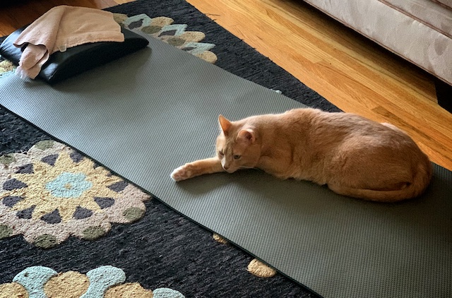 Friday, April 3, 2020