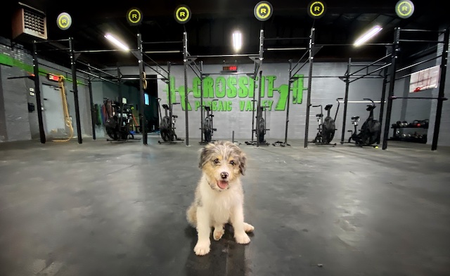 Friday, July 10, 2020